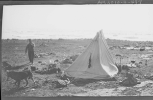 Image: Camp site: tent, man, dog, supplies